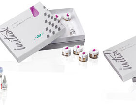 GC Initial IQ - Layering Concept-0