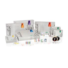 GC Initial MC, Advanced Set-0